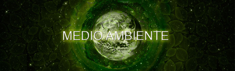 Medio Ambiente